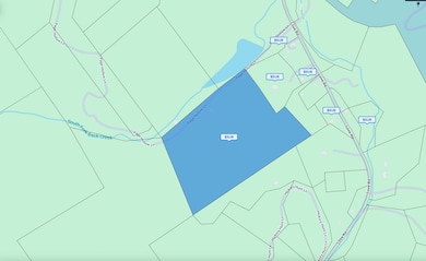 TBD Page Hollow Ln, Lyndhurst, VA 22952 - photo 4