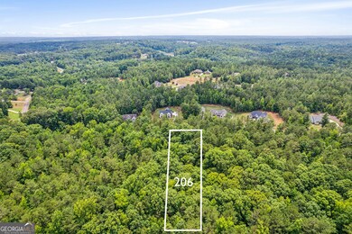 206 Crescent Dr, Forsyth, GA 31029 - photo 5