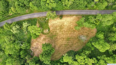 0 Doodletown Rd, Ancram, NY 12502 - photo 6