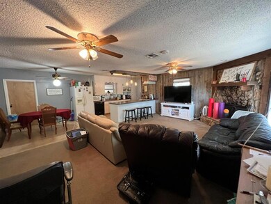 233 Samuel Dr, Weatherford, TX 76085 - photo 2