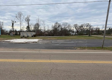 223 Tennessee 57, Grand Junction, TN 38039 - photo 2