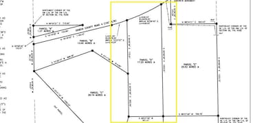 17.25 Acres Goat Hill Rd, Samson, AL 36477 - photo 5