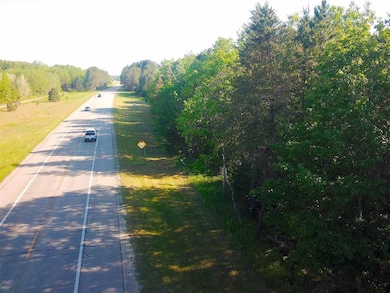 000 Vacant U S 31, Pellston, MI 49769 - photo 5