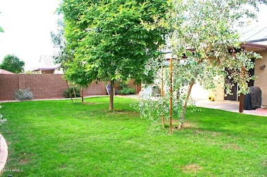 Surrey - Backyard 1