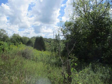 5060 Mason Ln, Mayslick, KY 41055 - photo 2