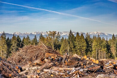 Olympic Mountain Views