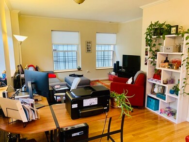 145 Saint Botolph St unit G1, Boston, MA 02115 - photo 3