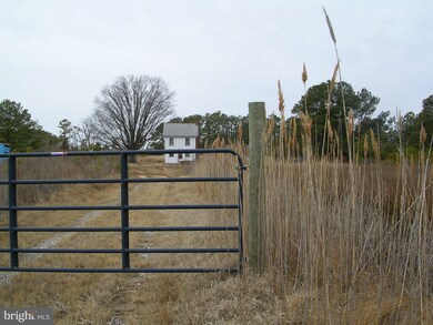 1748 E Tedious Creek Rd, Toddville, MD 21672 - photo 2