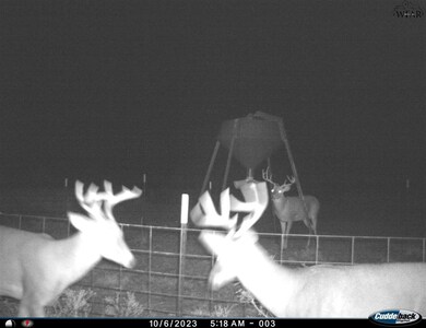 0 Farm To Market 367, Electra, TX 76360 - photo 4