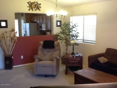 photo5