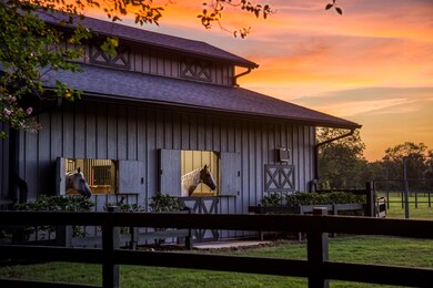 19220 Fm 442 Rd, Needville, TX 77461 - photo 5