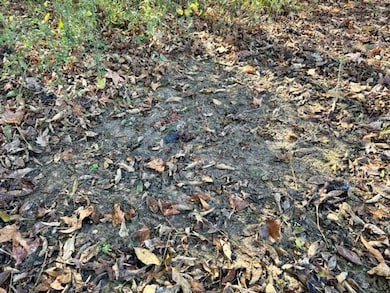 0 Wilson Rd unit 25582294, Pheba, MS 39755 - photo 7