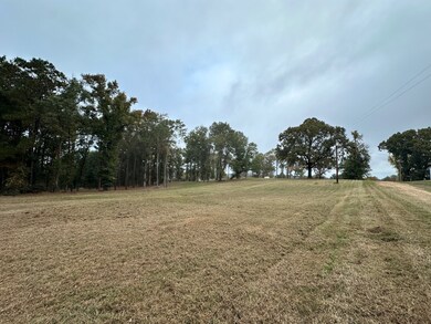 1 Yokum Trail, Many, LA 71449 - photo 6