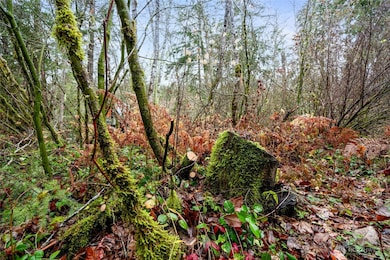 318 Paradise Dr, Eatonville, WA 98328 - photo 7