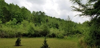 2079 Swindle Creek Rd, Linden, TN 37096 - photo 4