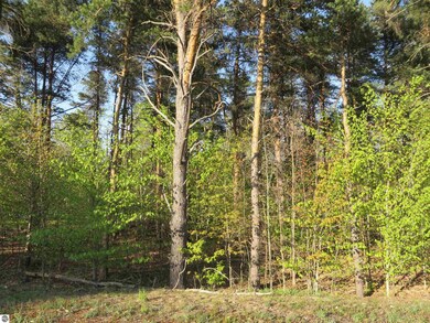 4169 Maple Hill Rd unit E, Blair Township, MI 49637 - photo 3