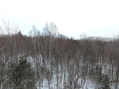 DJI_0001