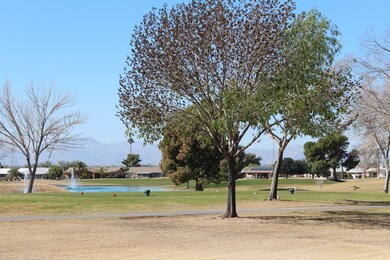 Golf Course View