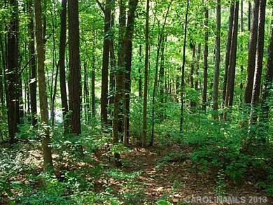 Land - Wooded lot, lovely neighborhood filled with