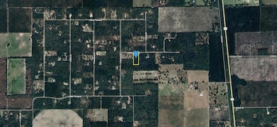10758 194th Terrace, O'Brien, FL 32071 - photo 2