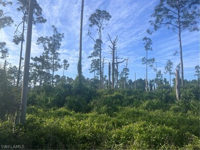 1042 Greenfield St unit 20, Lehigh Acres, FL 33974 - photo 3