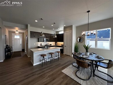 8434 David Rudabaugh Dr, Colorado Springs, CO 80908 - photo 4