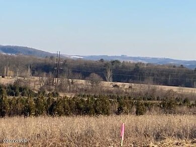 0 Lime Bluff Rd unit 3 WB-96792, Muncy, PA 17756 - photo 4