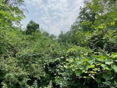 #1 Oakridge Springs unit 1, Johnstown, PA 15904 - photo 5