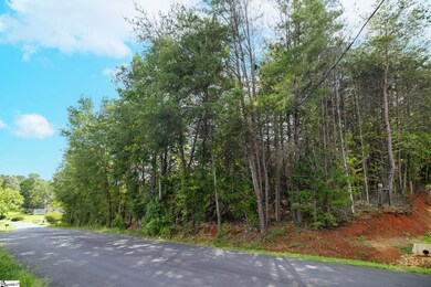 716 Settlement Rd, Travelers Rest, SC 29690 - photo 4