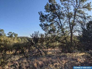 39 Vesuvius Way, Silver City, NM 88061 - photo 2