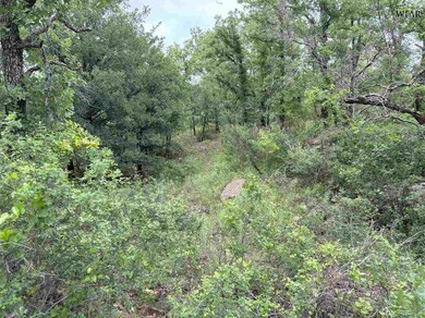 Tbd Tract 1 Sunset Ln, Jacksboro, TX 76458 - photo 4