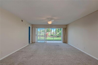 unlisted-address, Naples, FL 34112 - photo 3