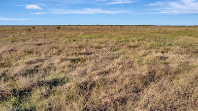 Hiller Rd, Inez, TX 77968 - photo 4