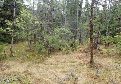 Lot56and7Block2_58255_5