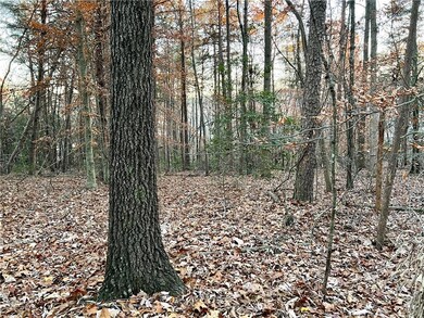 View of nature featuring a forest view