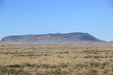 Bannock Trail unit Costilla County CO, San Luis, CO 81152 - photo 5