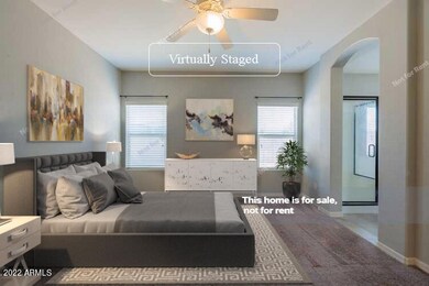 738 W Witt Ave, San Tan Valley, AZ 85140 - photo 3