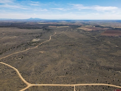 TBDWP Secret Canyon, Dove Creek, CO 81324 - photo 3