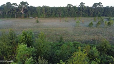 1050 Jolene Rd, Basile, LA 70515 - photo 4