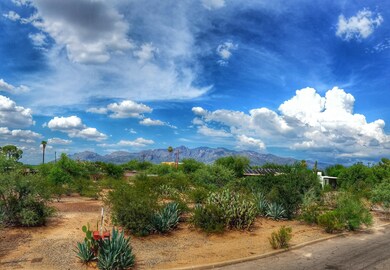 2321 E Greenlee Rd unit 2321, Tucson, AZ 85719 - photo 2