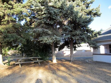 Big Fir Trees Create Shade of