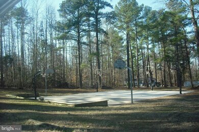 0 Shortleaf unit 1003840182, Ruther Glen, VA 22546 - photo 5