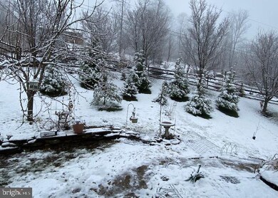 146 Lookout Point Way, Linden, VA 22642 - photo 4