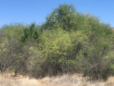 Lot 598 Bently Dr Trees