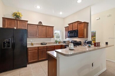 5803 Coquyt Dr, Mount Dora, FL 32757 - photo 7