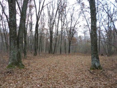 20 Ac 22nd St, Camp Douglas, WI 54618 - photo 6