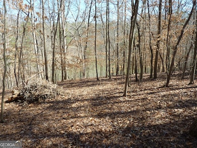 3568 Old Duckett Mill Rd, Gainesville, GA 30506 - photo 4