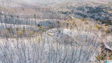 5325 Union T Rd, Talladega, AL 35160 - photo 4