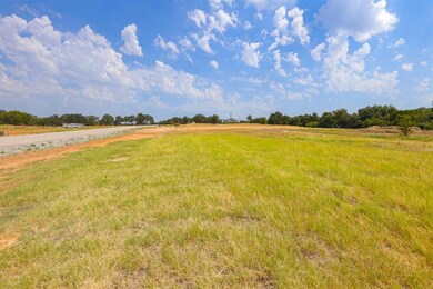 Lot 14 Aslan Rd, Poolville, TX 76487 - photo 6