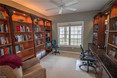 Custom cherry cabinetry in office. Hidden printer and file drawers.